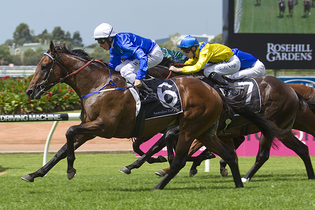 Tarquin wins the 2015 Pago Pago Stakes at Rosehill