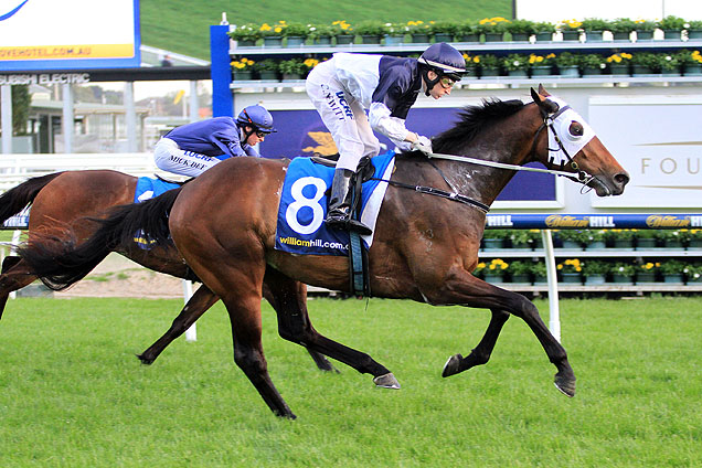 Tarzino is favourite for Saturday's Dilmah Exceptional Teas Vase at Moonee Valley.