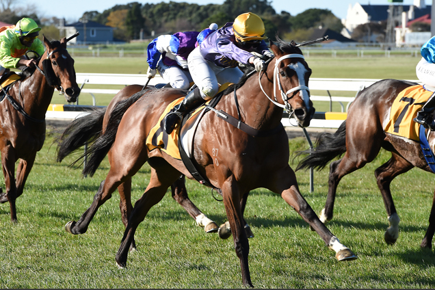 Te Hana winning the Nzb Insurance Peal Series-Bm85