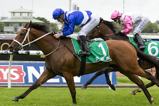 Chris Waller says Telepathic is weighted to be competitive in the 2016 Coolmore Classic at Rosehill.