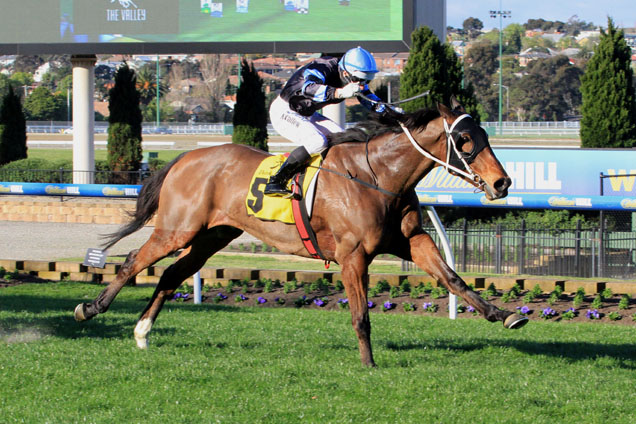 The Cleaner wins at Moonee Valley