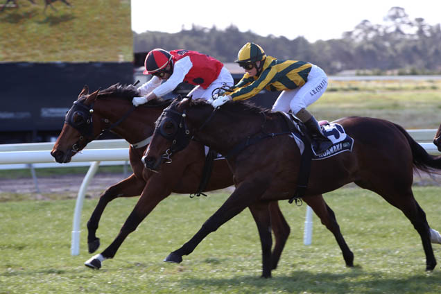 The Justice League(inner) downs Selfie winning the Northland Breeders Stakes