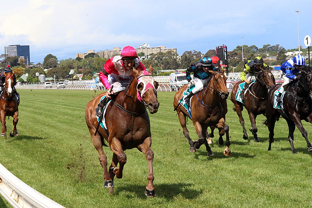 The Quarterback winning the Dilmah Earl Grey Stakes