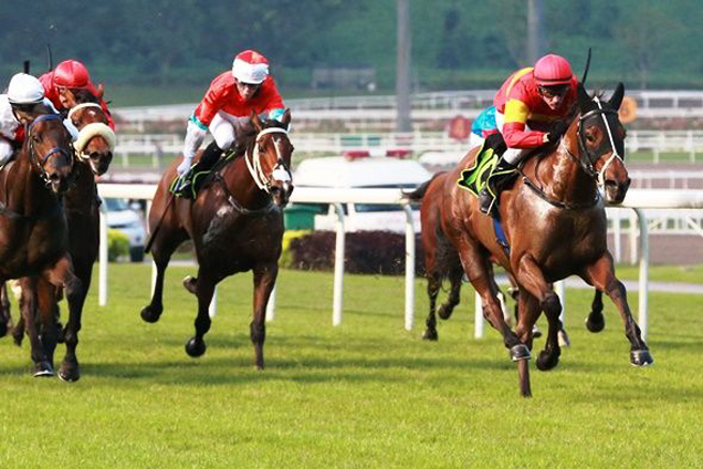 Timo winning the RESTRICTED MAIDEN