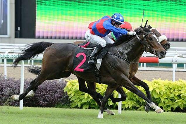Titanium set for big assignment