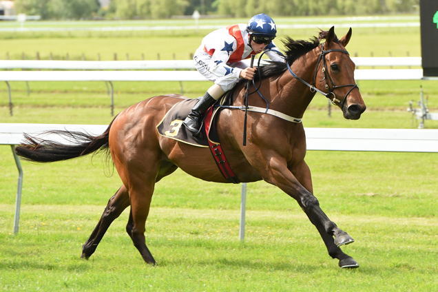 Tomorrowland winning the Chaineys Panasonic Levin Stks