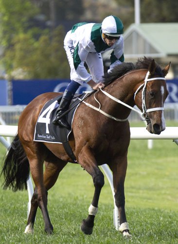 Favourite Vanbrugh has drawn barrier six for Saturday’s Group 1 Moet & Chandon Spring Champion Stakes (2000m) at Randwick.