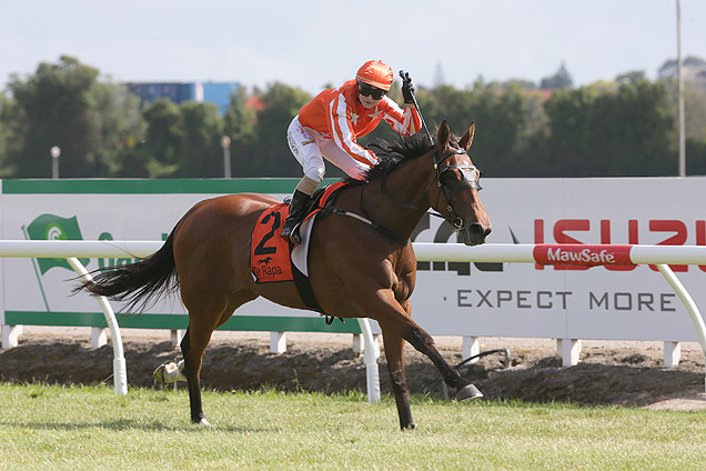 Vavasour winning the Skycity Hamilton Waikato Cup