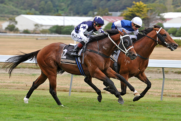 Vespa (outside) winning the Hardy Trade Wellington Gneas