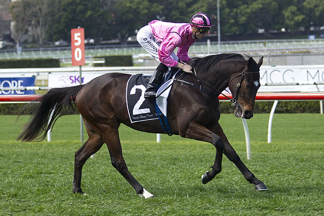Voilier running in the Up And Coming Stakes Racing and Sports Voilier running in the Up And Coming Stakes Racing and Sports
