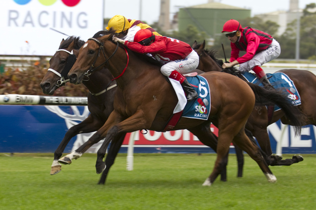 Volkstok’n’barrell will fly the New Zealand flag in the 2016 Doomben Cup.