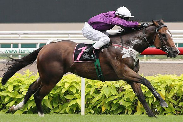 Von Krumm winning the PANASONIC SOLUTIONS STAKES CLASS 3