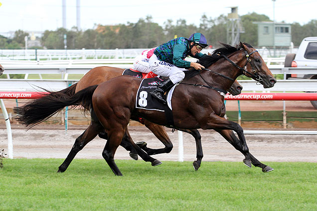 Wandjina winning the C S Hayes Stakes