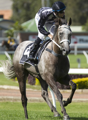 Weary winning the Expressway Stakes.