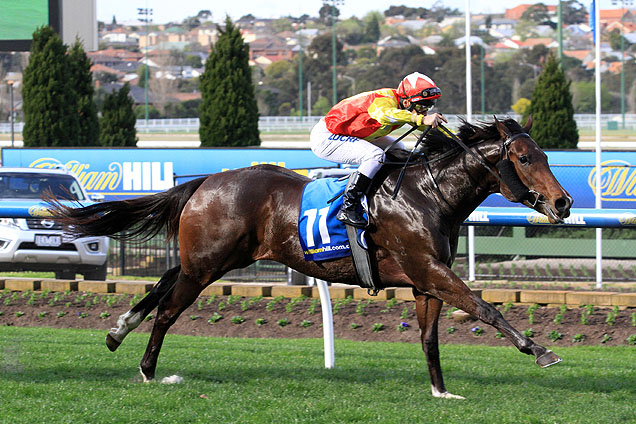 Well Sprung winning the Essendon Nissan Mc Kenzie Stks