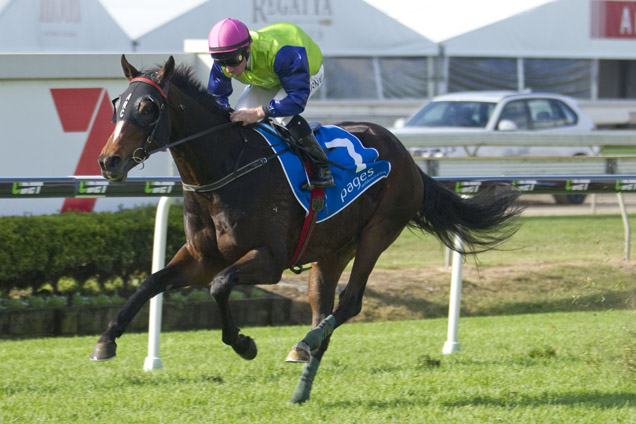 Werther winning the Pages Event Eagle Farm Cup