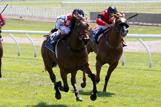 What Choux Want winning the Nobby Bussell Memorial 2yo