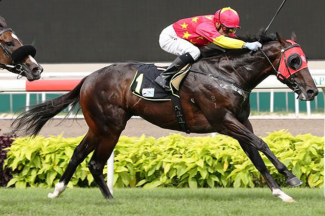 Wimbledon looks well placed to make a winning return at Kranji this evening.