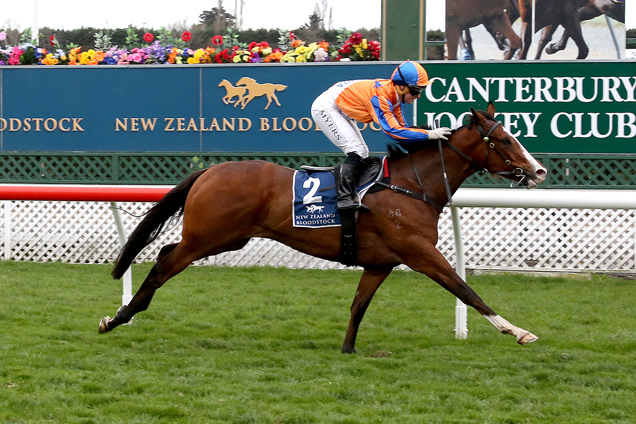 Windborne winning the Canterbury Belle Stakes