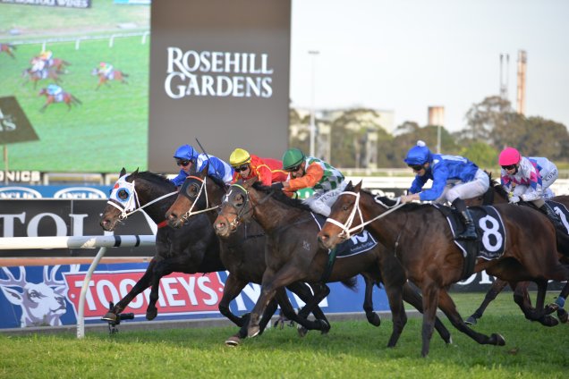 Winx winning the Theo Marks Qlty