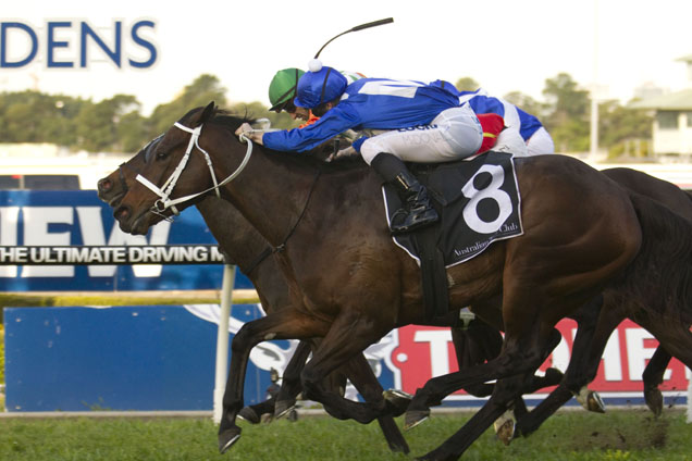 Winx winning the Theo Marks Stakes