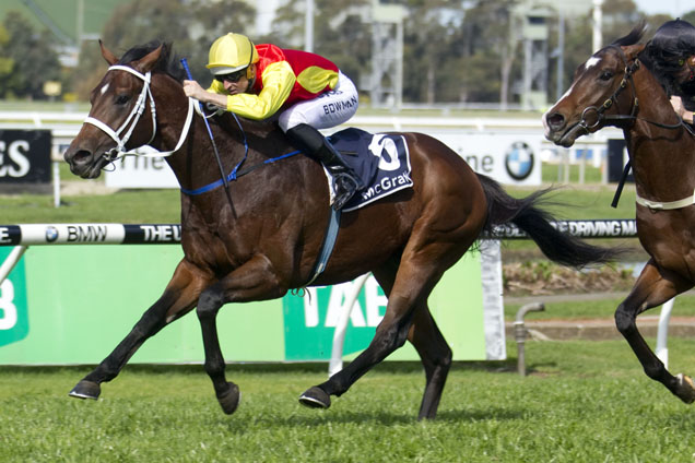 Wudang Mountain is among nominations for the Dulcify Quality at Randwick on Saturday.