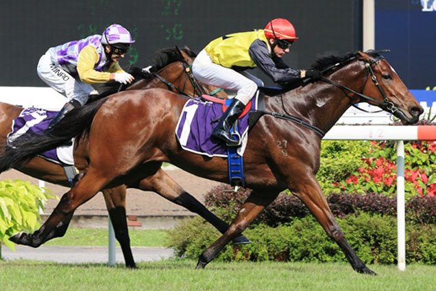 Zac Spirit winning the KRANJI SPRINT