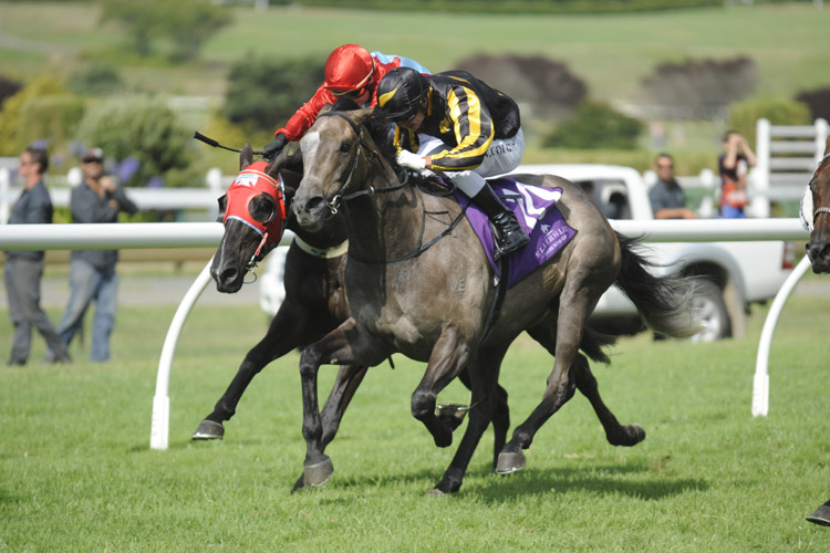 Farm Boy winning the Avondale Cup