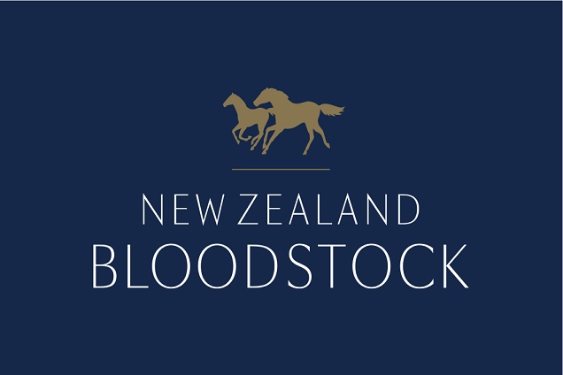 新西兰纯种马拍卖会