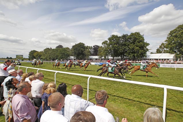 Stock Image - Newmarket July