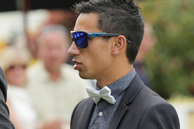 Experience to stand Fonsi in good stead