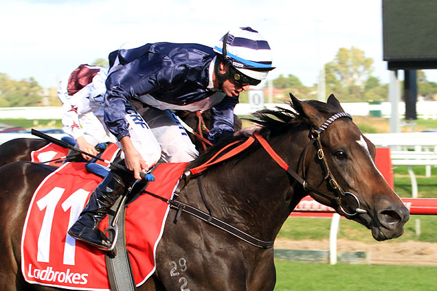 2016 Australasian Oaks winner Abbey Marie