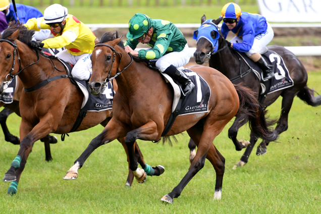 Abidewithme winning the Tauranga Stakes