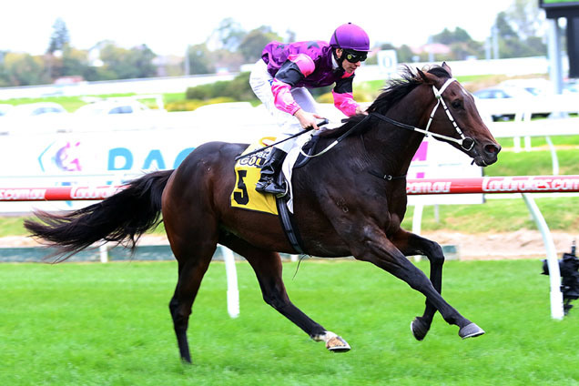 Adirondack winning the Vobis Gold Heath Adirondack winning the Vobis Gold Heath