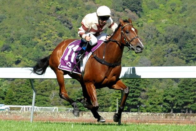 Aide Memoire winning the Rydges Captain Cook Stakes