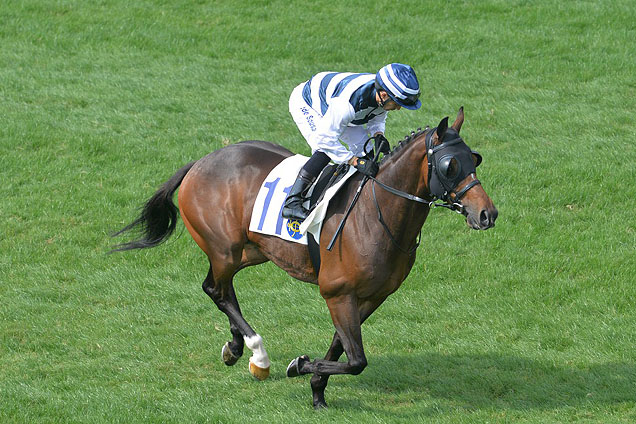 Allcash runs at Kembla Allcash runs at Kembla