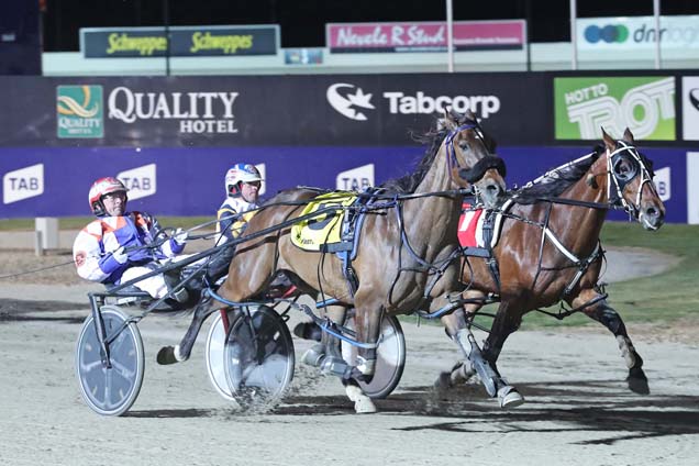Allies Mate winning the GORDON ROTHACKER MEMORIAL CHAMPIONSHIP FINAL (GROUP 3) Allies Mate winning the GORDON ROTHACKER MEMORIAL CHAMPIONSHIP FINAL (GROUP 3)