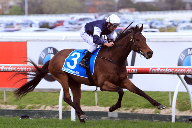 Almandin winning the Italktravel Harry White