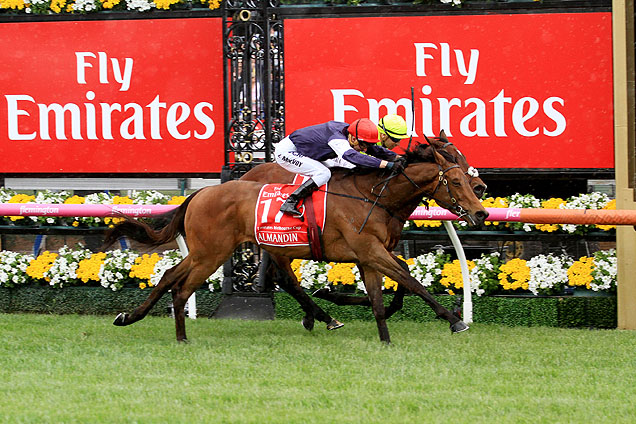 Almandin winning the Emirates Melbourne Cup Almandin winning the Emirates Melbourne Cup