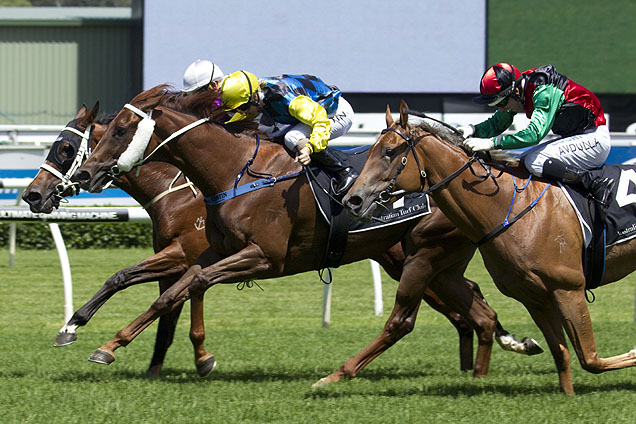 Amicus winning the T'bred Nsw Breeders Classic