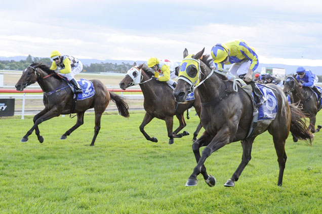 Amovatio winning the Group 3 Hawkesbury Gold Cup