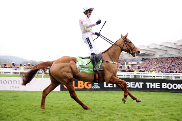 Annie Power