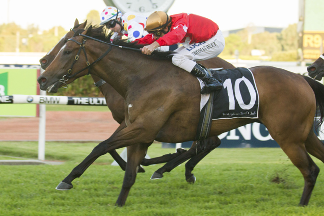 Artistry is value in the Sapphire at Randwick