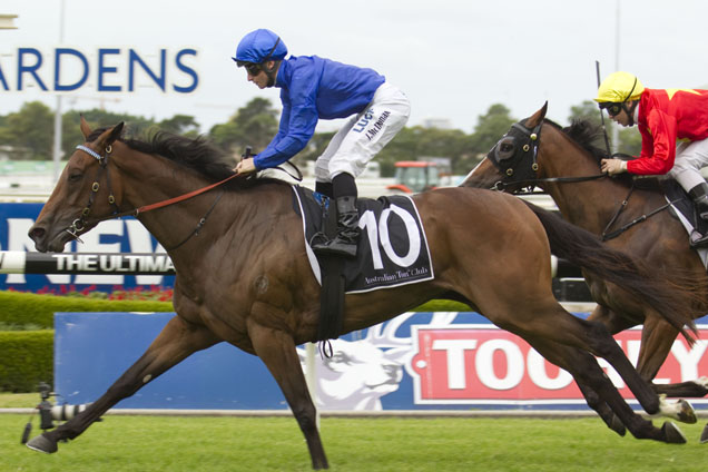 Asinara returns to fillies' company in the 2016 Australasian Oaks.