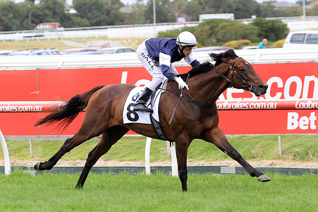 Assign winning the Mornington Bmw Cup Prelude