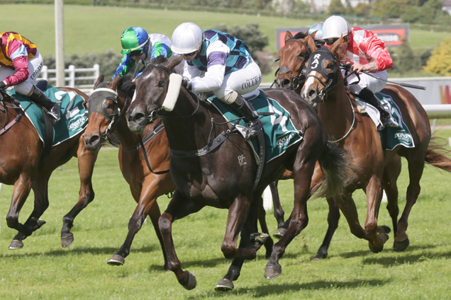 Astara winning the Dunstan Feeds Soliloquy Stakes