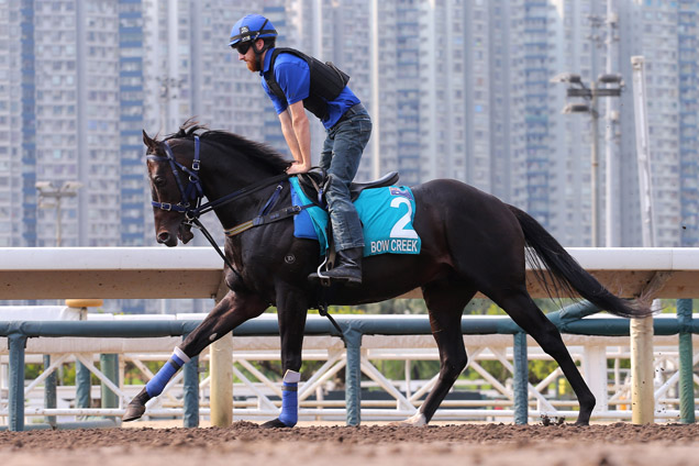 Bow Creek at trackwork in Hong Kong ahead of the 2016 Champions Mile.