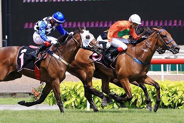 Bahana winning the PANASONIC SOLUTIONS STAKES OPEN BENCHMARK 89