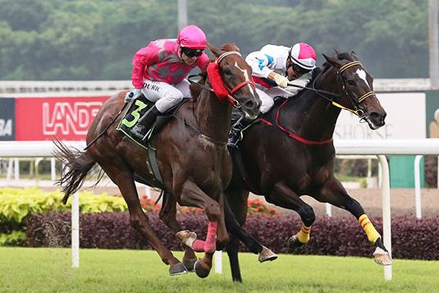 Battle King(no.3) winning the KRANJI STAKES D