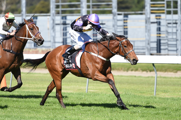 Bel Sorriso winning the Cambridge T'bred Thompson Hcp